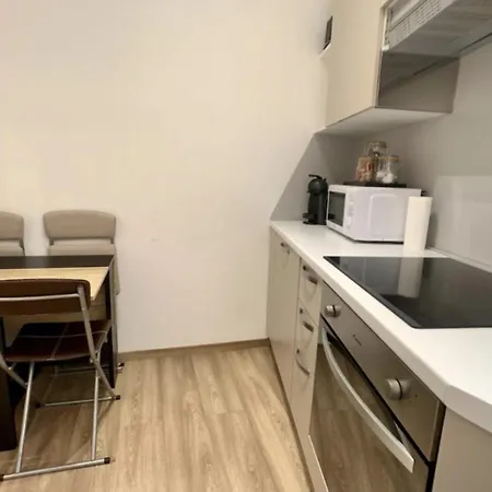 Monaco Langevin Terrasse Parking Apartment