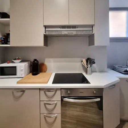 Monaco Langevin Terrasse Parking Apartment Beausoleil